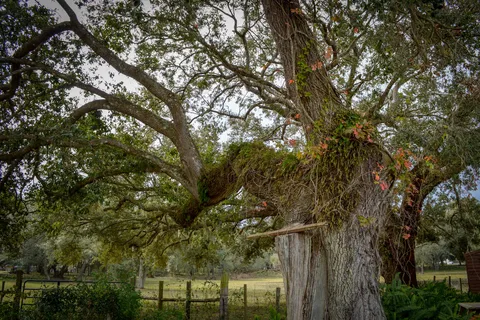 Breezy Oaks RV Park