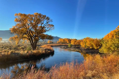 Dayton State Park