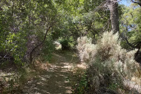 Dayton State Park
