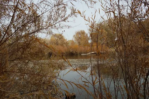 Dayton State Park