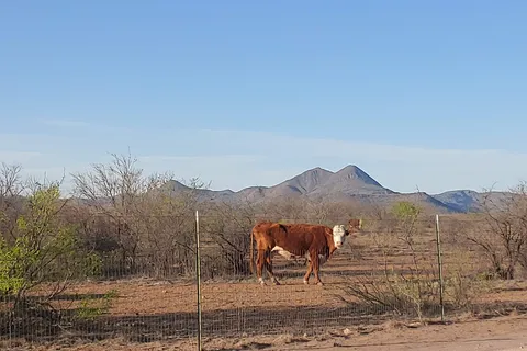 B C Ranch RV Park