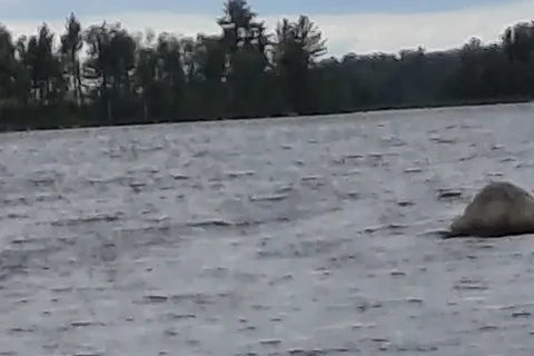 McAdam (Wauklehegan) Lake Campground