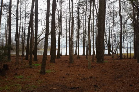 North Toledo Bend State Park