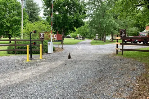 Triple Creek Campground