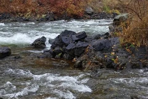 Okanagan Falls Provincial Park