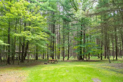 Colors of the Forest RV Resort & Campground
