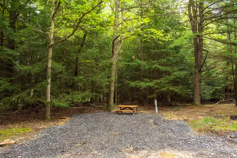 Colors of the Forest RV Resort & Campground