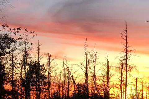 Beaver Trail Campground, LLC