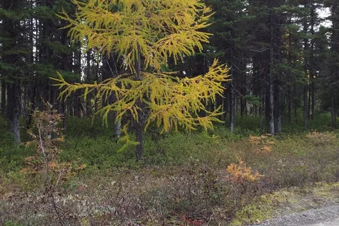 David Smallwood RV Park