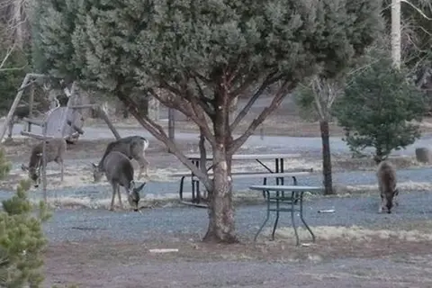 Along the River RV Park