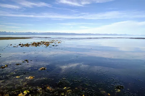 Miracle Beach Provincial Park