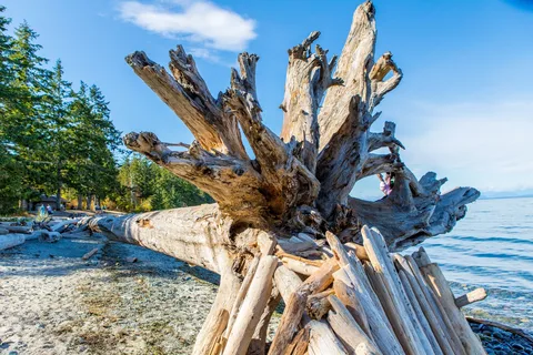 Miracle Beach Provincial Park