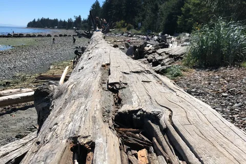 Miracle Beach Provincial Park