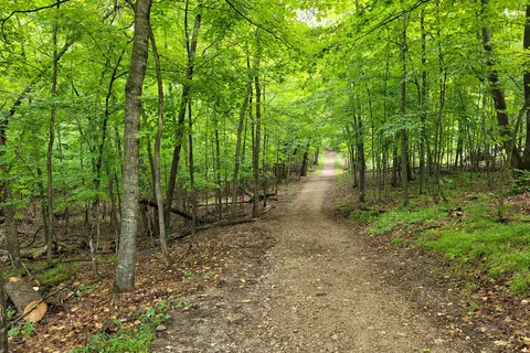 Upper - Lake Carlos State Park