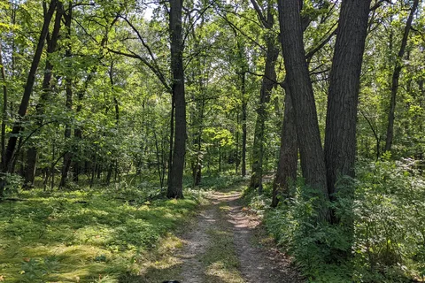 Upper - Lake Carlos State Park