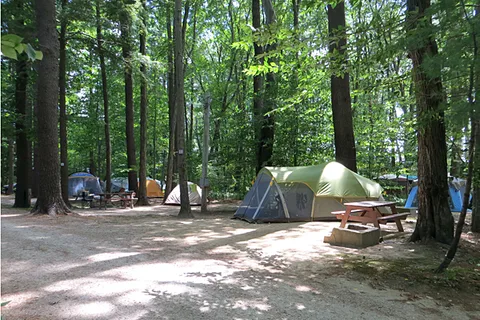 Tidewater Campground