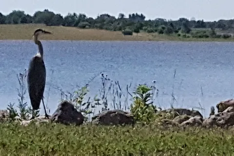 Enon Beach Campground