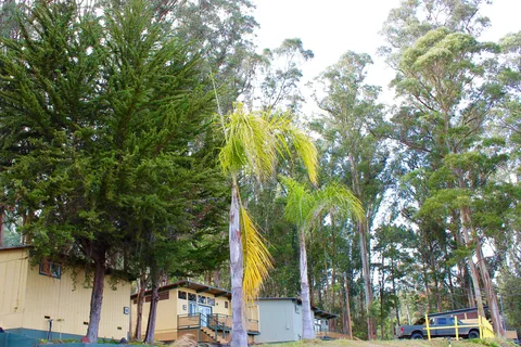 Salinas / Monterey KOA