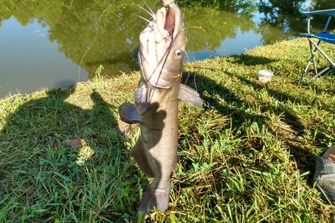 Big Fish-n-Camp Ground