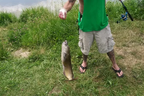 Big Fish-n-Camp Ground