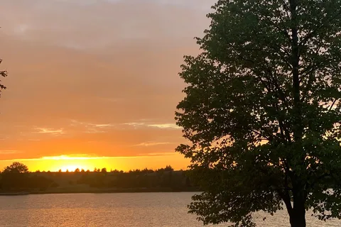 Oak - Lake Vermillion State Recreation Area