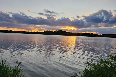 Oak - Lake Vermillion State Recreation Area