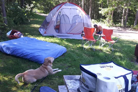 Beach View Camping