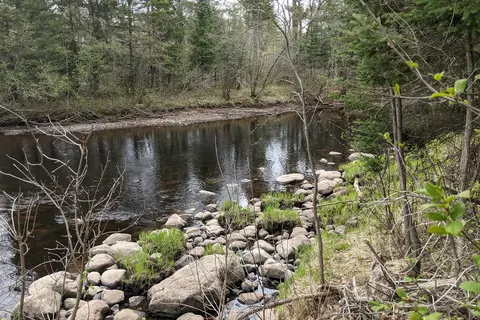 St Croix State Forest - Tamarack Horse Camp