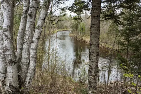 St Croix State Forest - Tamarack Horse Camp
