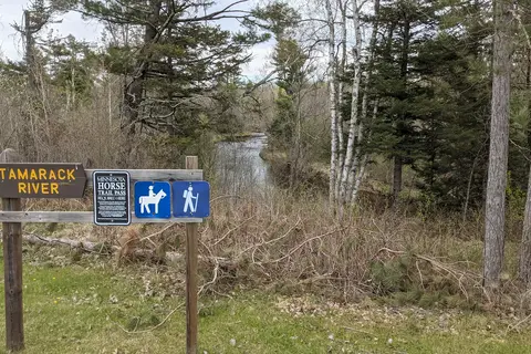 St Croix State Forest - Tamarack Horse Camp