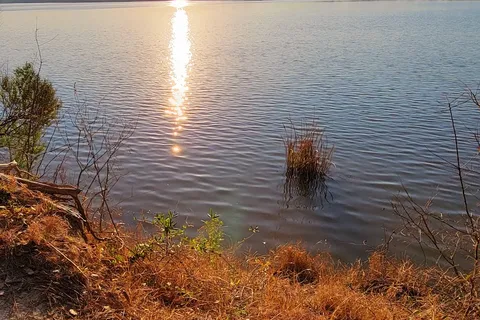 Florence Marina State Park