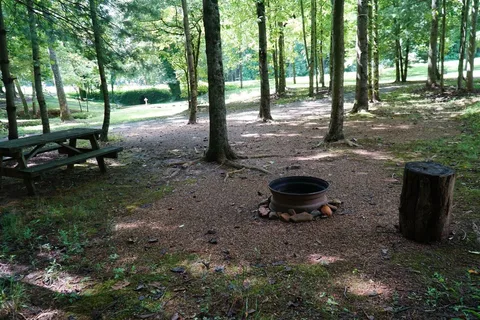 Byrds Branch Campground and Country Store