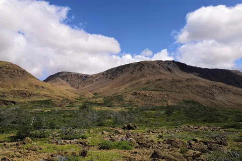 Gros Morne National Park Of Canada