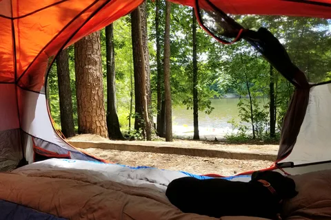 Holly Point - Falls Lake State Recreation Area