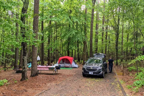 Holly Point - Falls Lake State Recreation Area