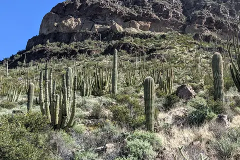 Ajo Heights RV Park