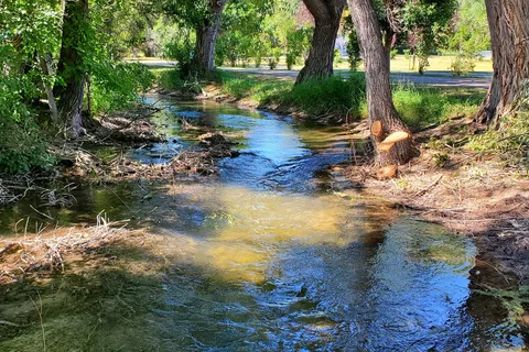 Choteau City Campground