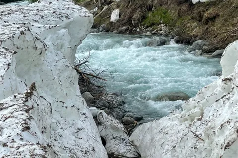 Government Peak Campground