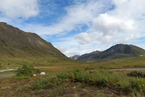 Government Peak Campground