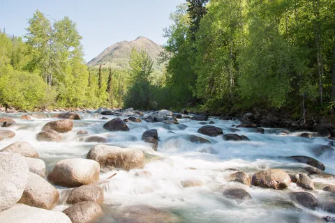 Government Peak Campground