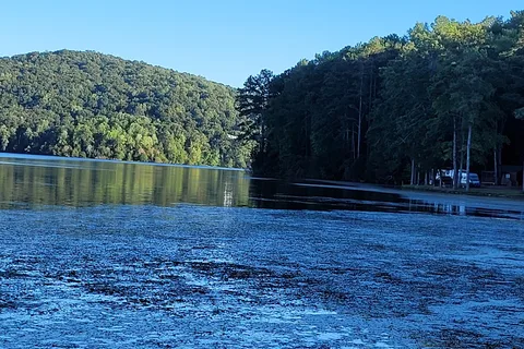 Honeycomb Campground