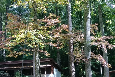 Woodsmoke Campground