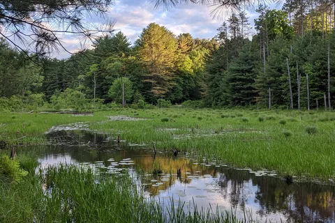 Wells State Park