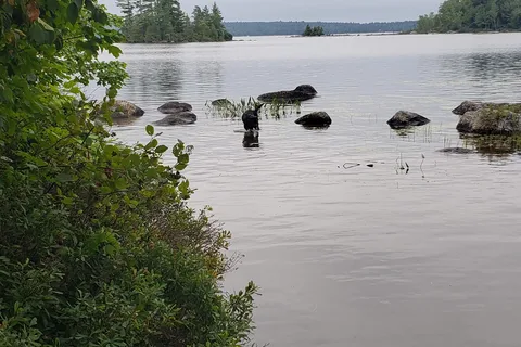 Branch Lake Camping area