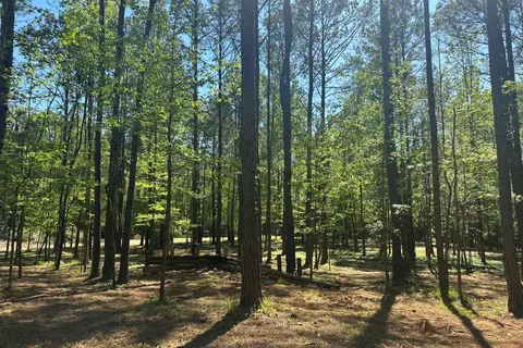 Cross Creek Campground