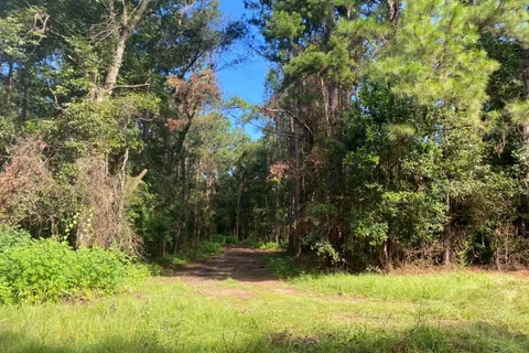Cross Creek Campground
