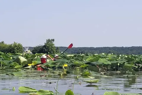Kayak Starved Rock Campground