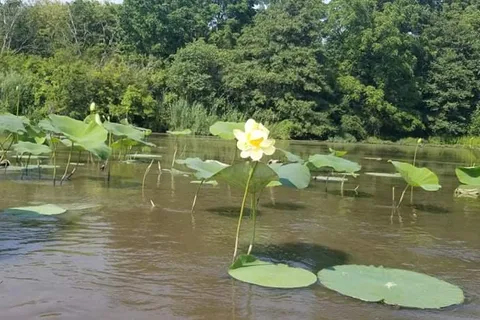Kayak Starved Rock Campground