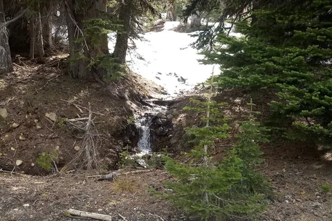 Tree Phones - Department of Natural Resources