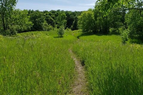 Sica Hollow State Park